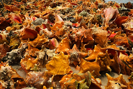 Delivery Sail from USVI to Turks and Caicos