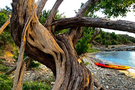 Kayak explorations in Money Bay