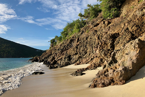 Guana Island